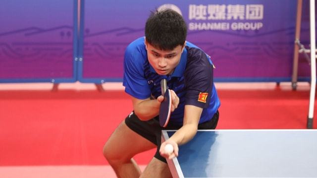 姻的坚定 姻的坚定