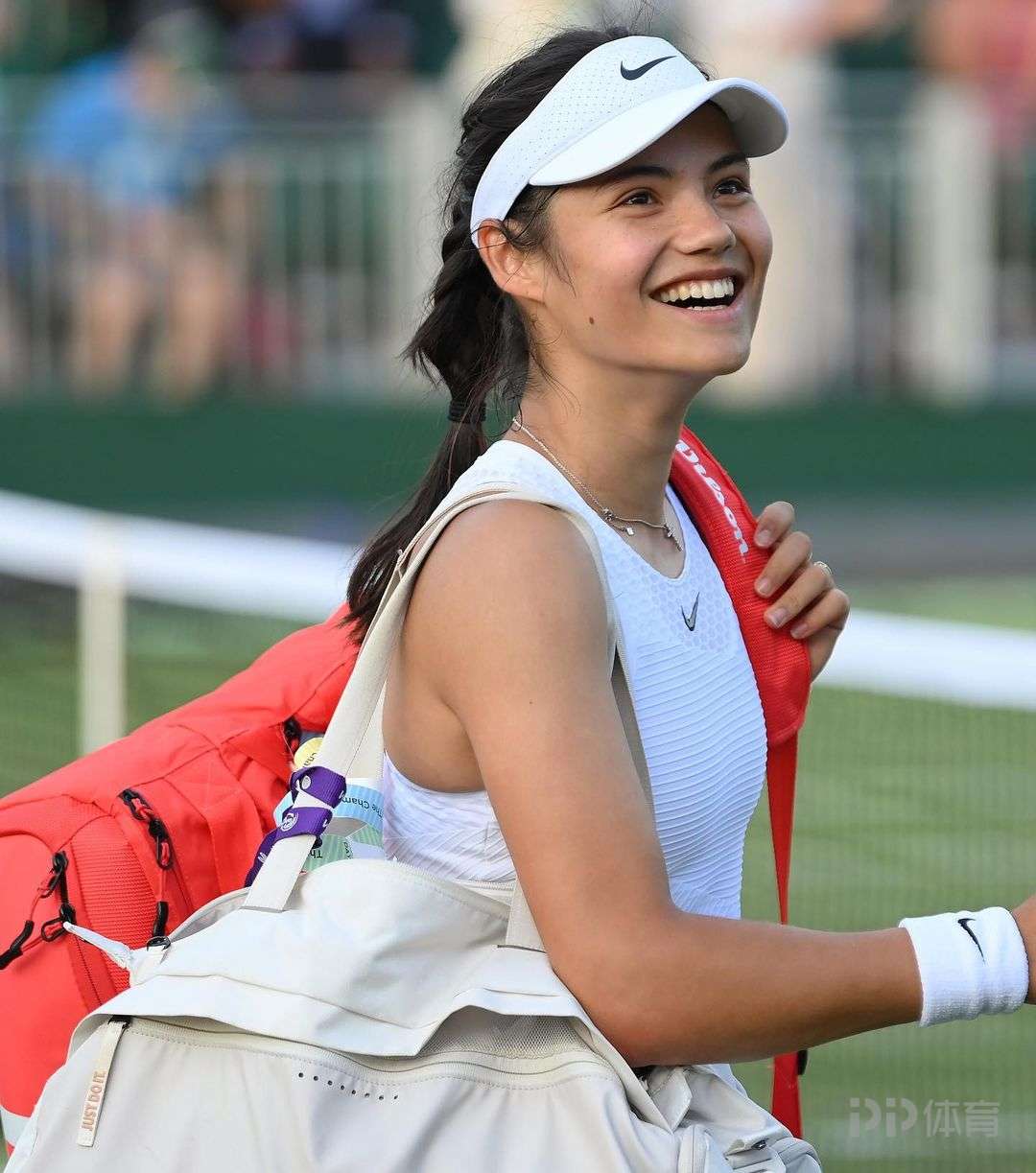 媒的放大镜 媒的放大镜